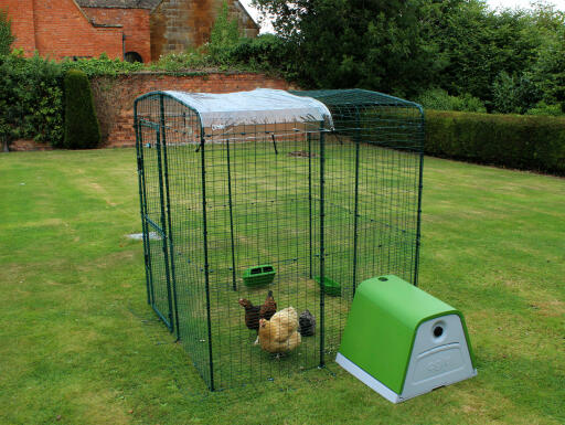 This clear cover will keep chickens dry whilst letting in sunlight