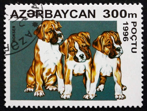 A boxer on an eastern european stamp
