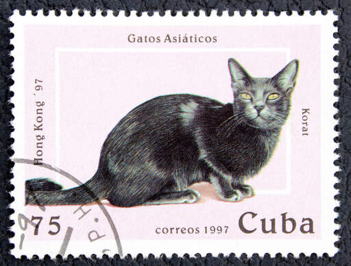 A stamp from cuba with a korat cat printed on it