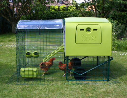 Clear cover for Eglu Cube chicken house with two chickens in the run