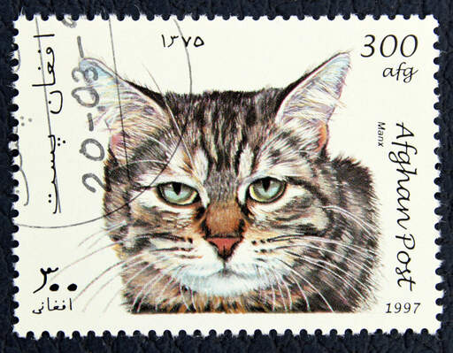 Tabby manx cat on a postage stamp