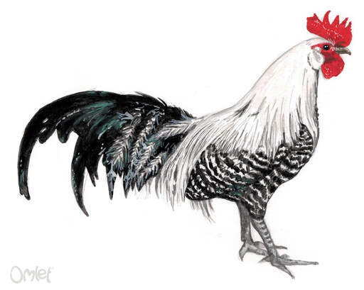 A beautiful painting of a male silver brakel bantam