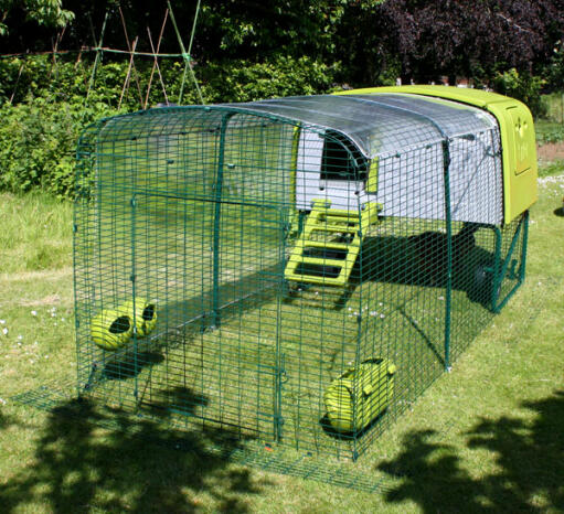 Green Eglu Cube chicken coop with run and clear cover in the garden