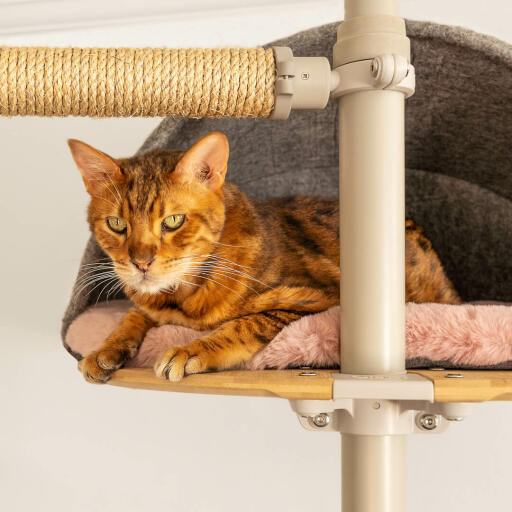 Cat tree bed