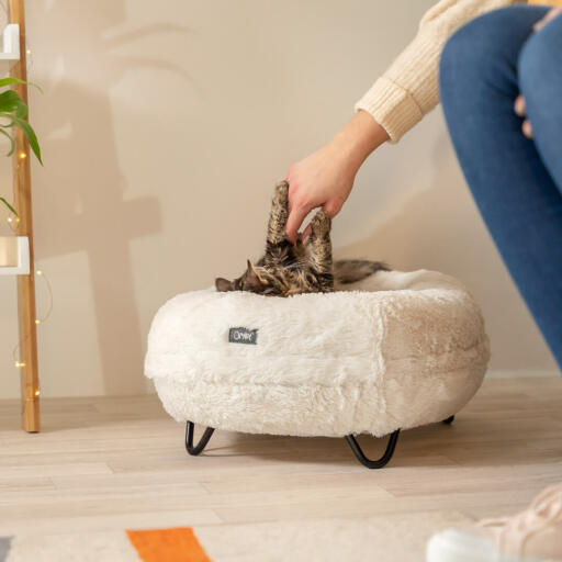 A white Omlet cat bed with black legs
