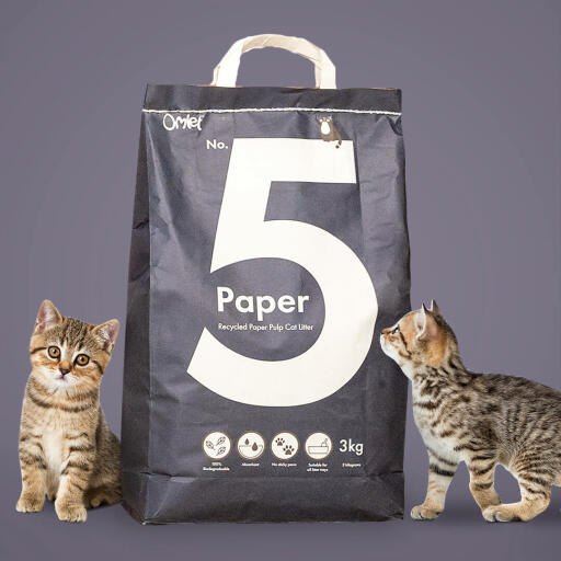 Paper clumping cat litter cheap