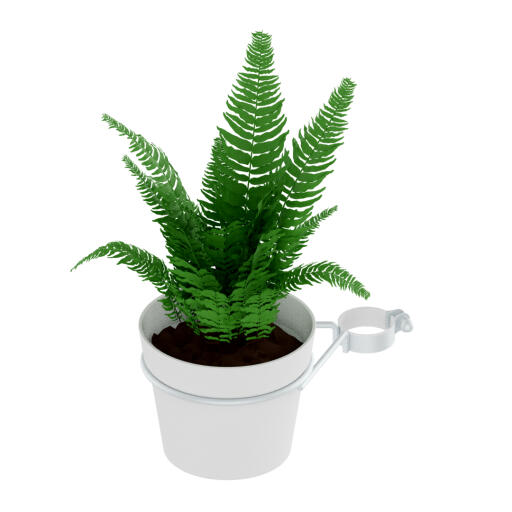 Plant pot and holder