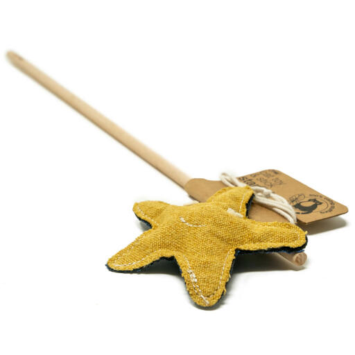 Omlet cat toy starfish