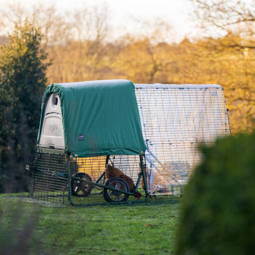 Green extreme weather blanket attached to an Eglu Go up chicken coop, with a clear cover over the full run