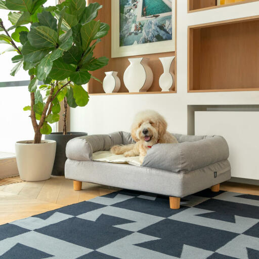 Woody the Goldendoodle is resting in his Medium Bolster Bed accessorised with a set of stylish Round Wooden Feet that will look great in any home.