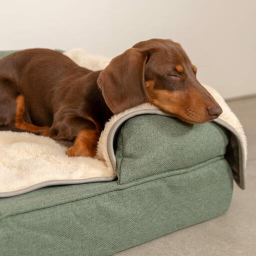 Your dog will enjoy a relaxed, deep sleep with the Luxury Super Soft Dog Blanket.