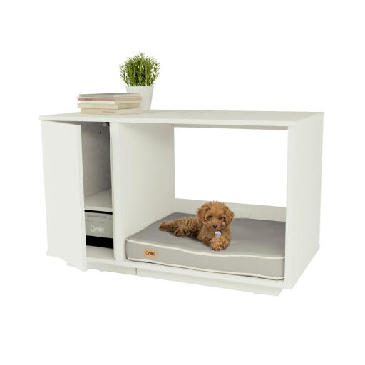 Closet for dogs clearance