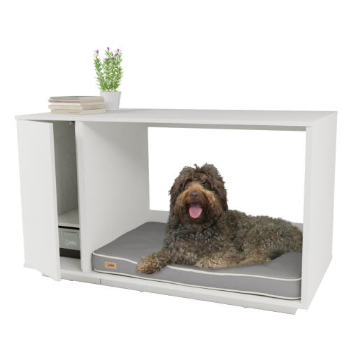 Fido Nook 36 with wardrobe white