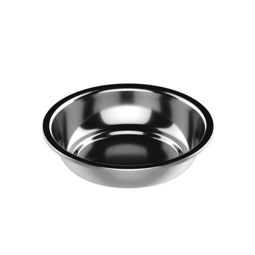 Cat in outlet food bowl