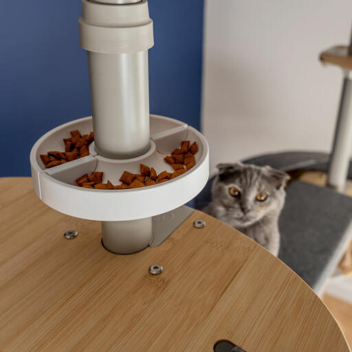 Cat treat tower sales