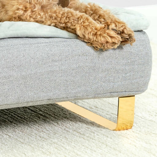 Close up of dog sitting on Omlet Topology dog bed with bolster bed topper and Gold rail feet