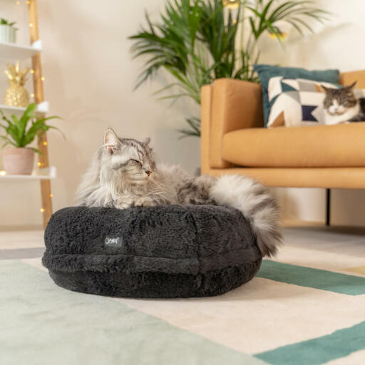 A cat relaxing in the luxury soft grey maya donut cat bed