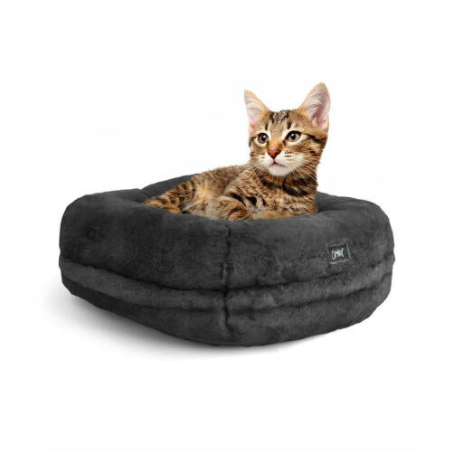 Luxurious super soft Maya donut cat bed in Earl Grey colour