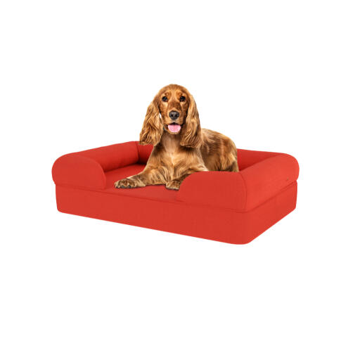 Dog sitting on cherry red medium memory foam bolster dog bed