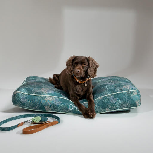 A dog lying on the nature trail cushion dog bed with accessories