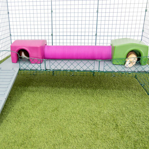 Omlet Zippi guinea pig playpen with Zippi platforms, purple and green Zippi shelters connected with a Zippi play tunnel