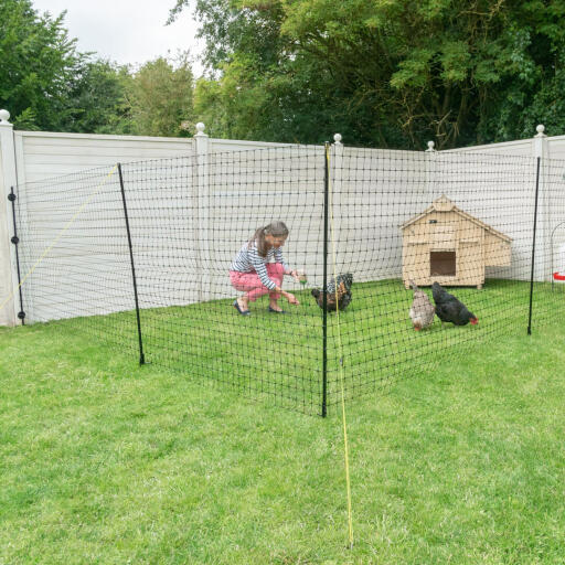 Omlet Chicken Fencing, Poultry Netting for Chickens