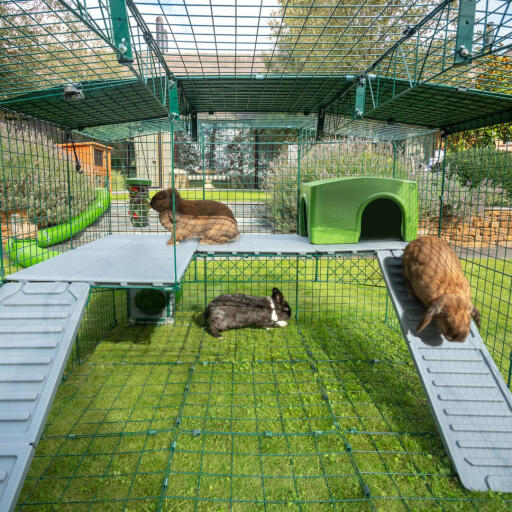 Omlet rabbit cage outlet