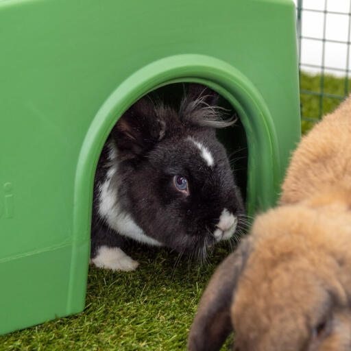 Zippi rabbit shelter green