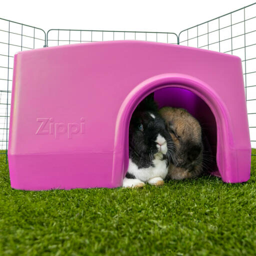 Zippi shelter