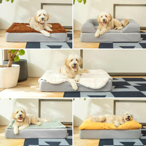Woody the Goldendoodle loves all the Topology Toppers; from top left, the Microfiber, the Bolster, the Sheepskin, the Quilted and the the Beanbag.
