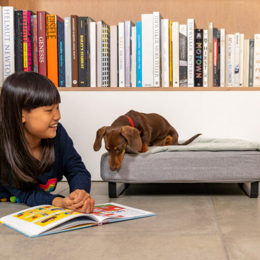 The feet come in a range of designs, like the ski style metal rail in black seen on the small Topology dog bed here.