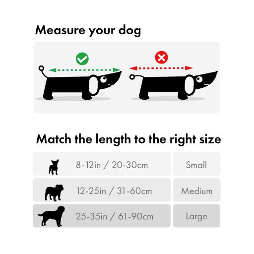 How to measure your dog