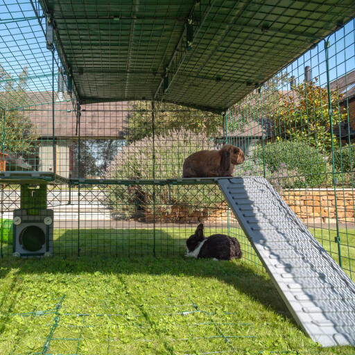 Zippi Rabbit Platforms - 3 panels with Green Shelter and Play Tunnel | Omlet Zippi Rabbit Platforms - 3 panels with Green Shelter and Play Tunnel | Omlet