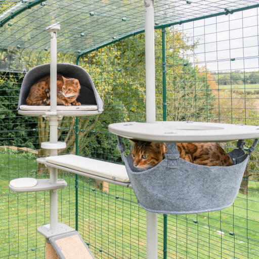 Cat tree hammock hot sale