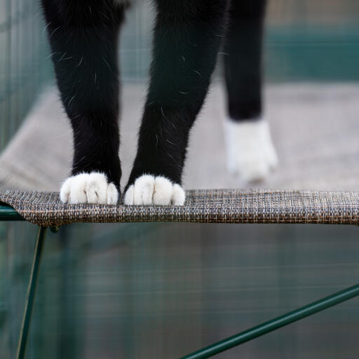 Durable cat shelf