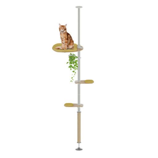 Freestyle Indoor Floor to Ceiling Cat Tree The Top