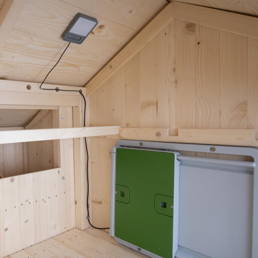 Omlet green automatic chicken coop door and coop light inside wooden chicken coop