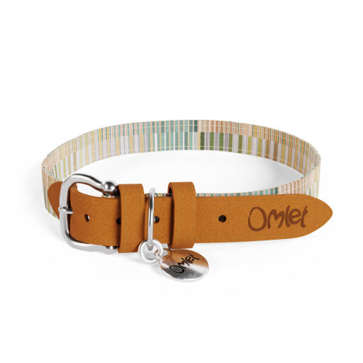 Designer large dog collar