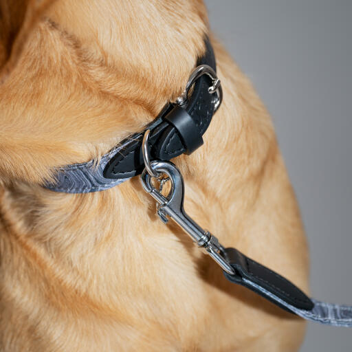 Designer dog lead contour grey Omlet