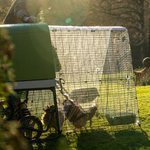 Eglu Go up chicken coop with run clear cover