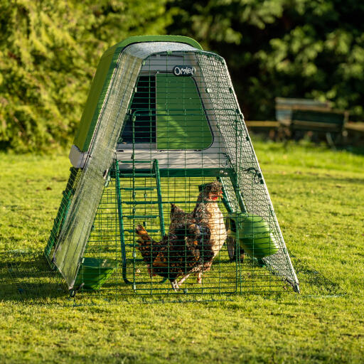 Eglu Go up chicken coop with run clear cover