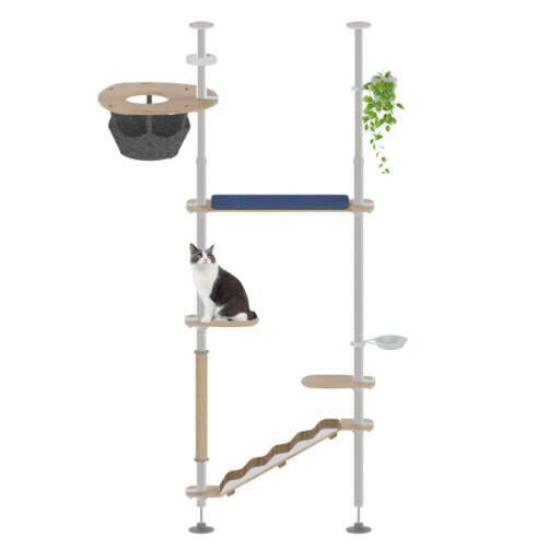 Freestyle indoor floor to ceiling cat tree the explorer