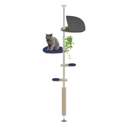 Freestyle indoor floor to ceiling cat tree the sleeper kit