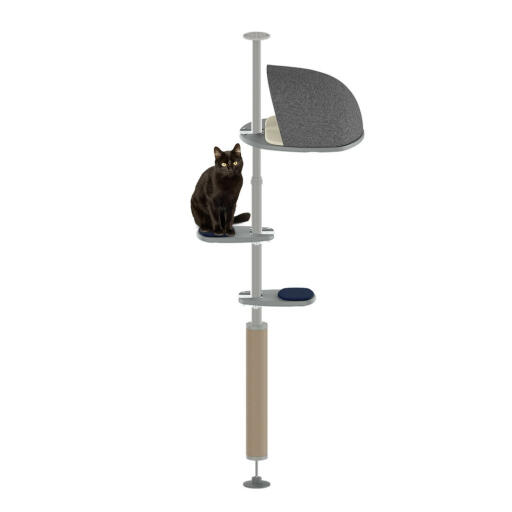 5 ft cheap cat tree