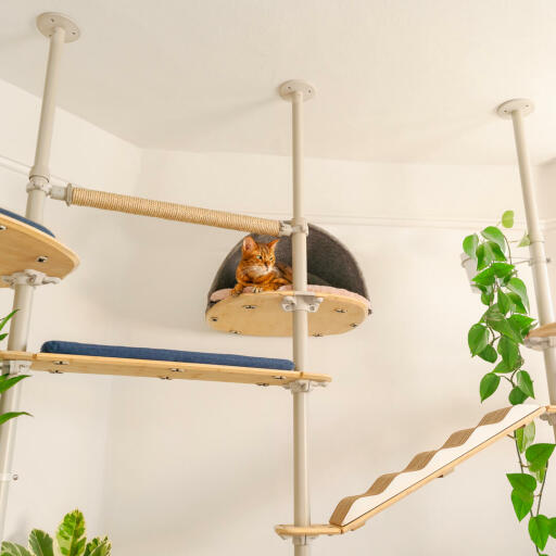 Indoor Freestyle Cat Tree Vertical Pole Kit 2.15m to 2.6m Omlet
