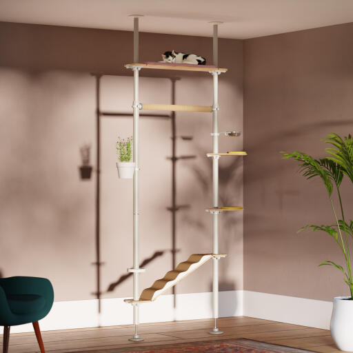 The Freestyle cat tree from Omlet is a strong floor to ceiling cat play system that can be customised to suit your cats and your home.
