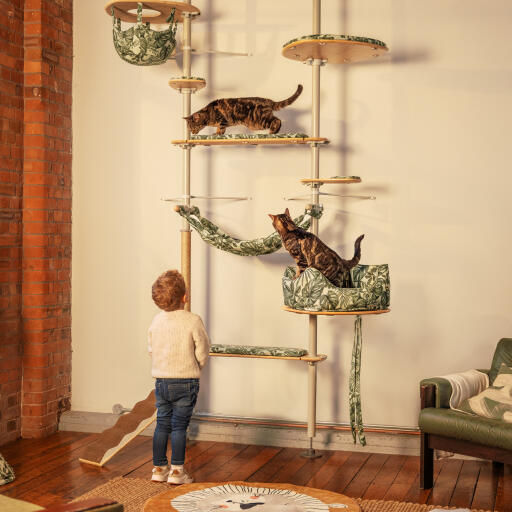 Cat tower with hammock new arrivals