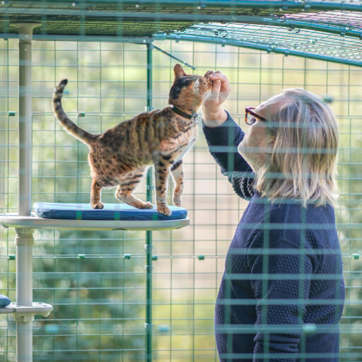 Man and cat inside a cat enclosure enjoying the personalised outdoor cat tree