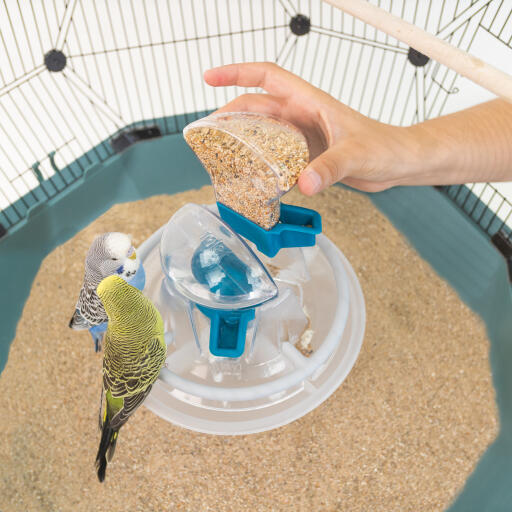 Geo bird cage feeder and drinker