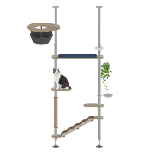 8 ft cheap cat tree